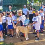 Projeto Anjos das Ruas promove grande mobilização pela causa animal com evento de adoção no Parque Farid Abrão, em Nilópolis